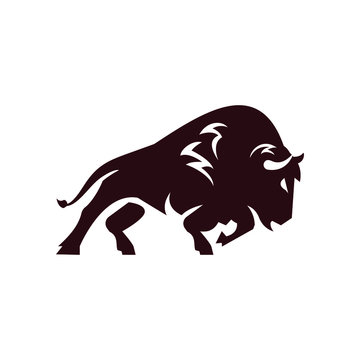 Buffalo