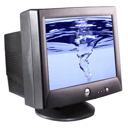 Dell 19" CRT Monitor