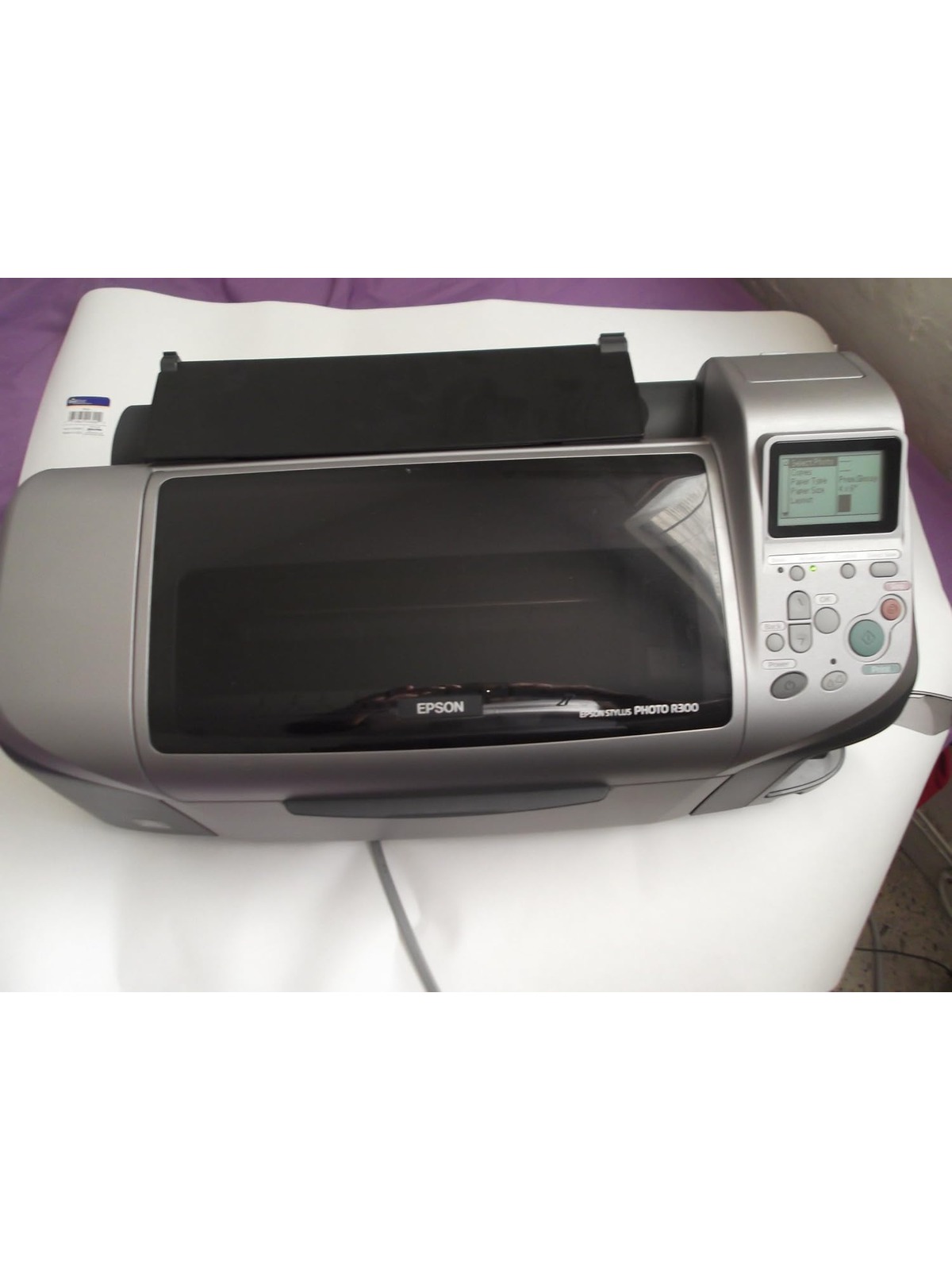 Epson Stylus Photo R300 Inkjet Printer